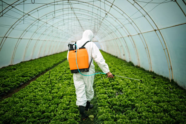 Best Local Pest Control Services  in Oakland, PA